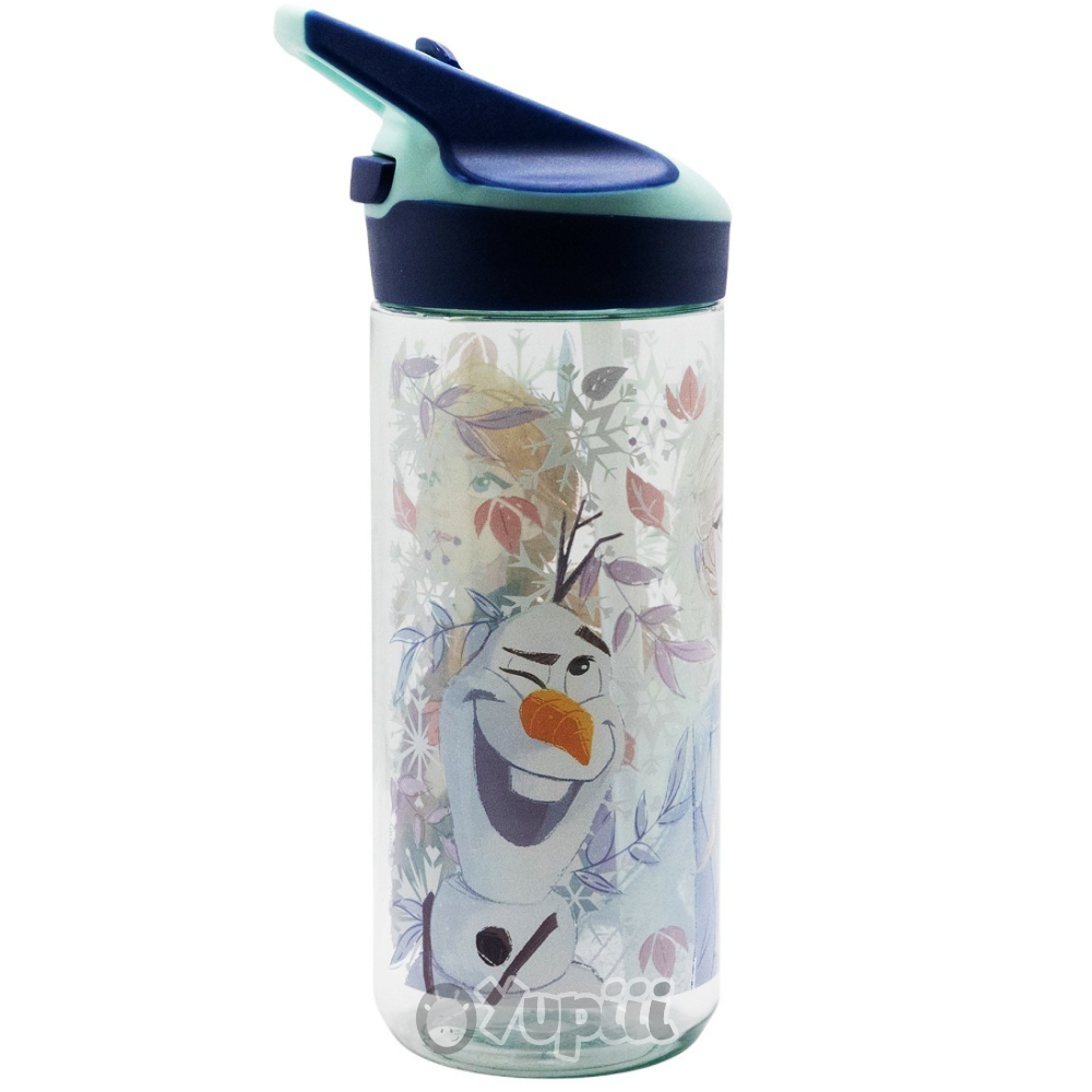 garrafa-premium-ecozen-frozen-620ml2